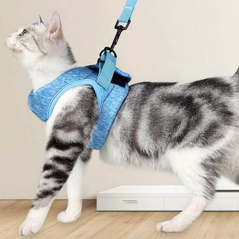 Lightweight Lace Cat Leash And Chest Strap Set - Stylish And Comfortable Outdoor Cat Harness - Pets Perfect
