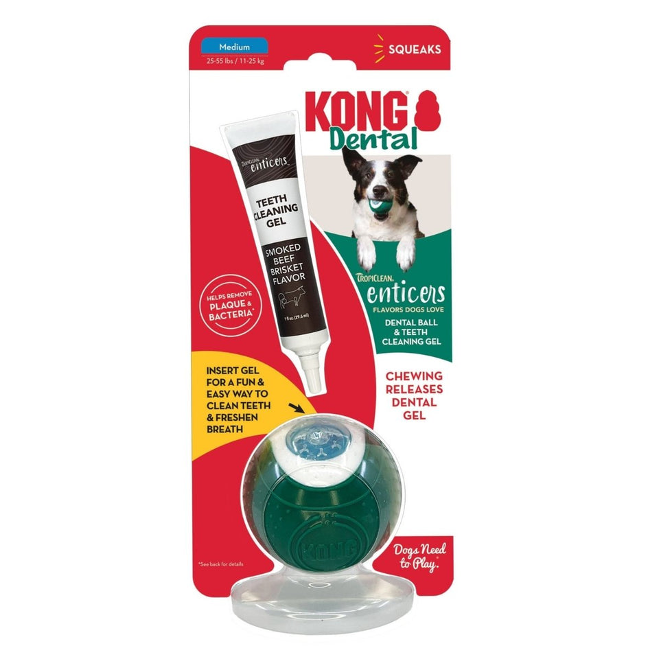 KONG Dental Ball with TropiClean Teeth Cleaning Gel, Honey Chicken