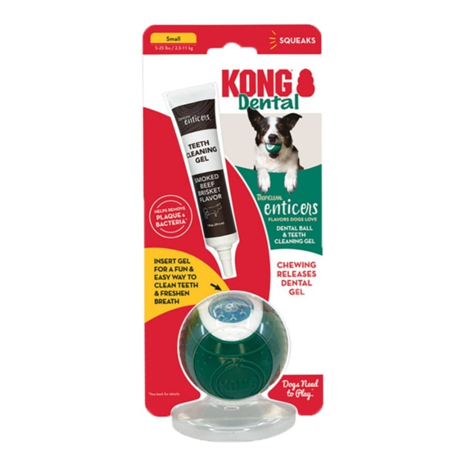 KONG Dental Ball with TropiClean Teeth Cleaning Gel, Honey Chicken