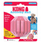 KONG Activity Ball Puppy Toy Assorted 1ea/MD - Pets Perfect