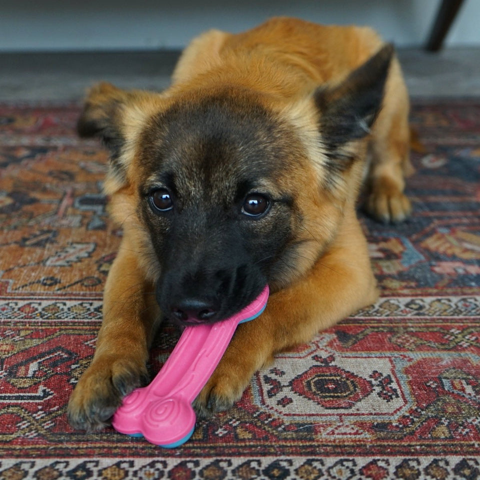 KONG ChewStix Puppy Curved Bone Dog Toy, Large (2 ct), view 3
