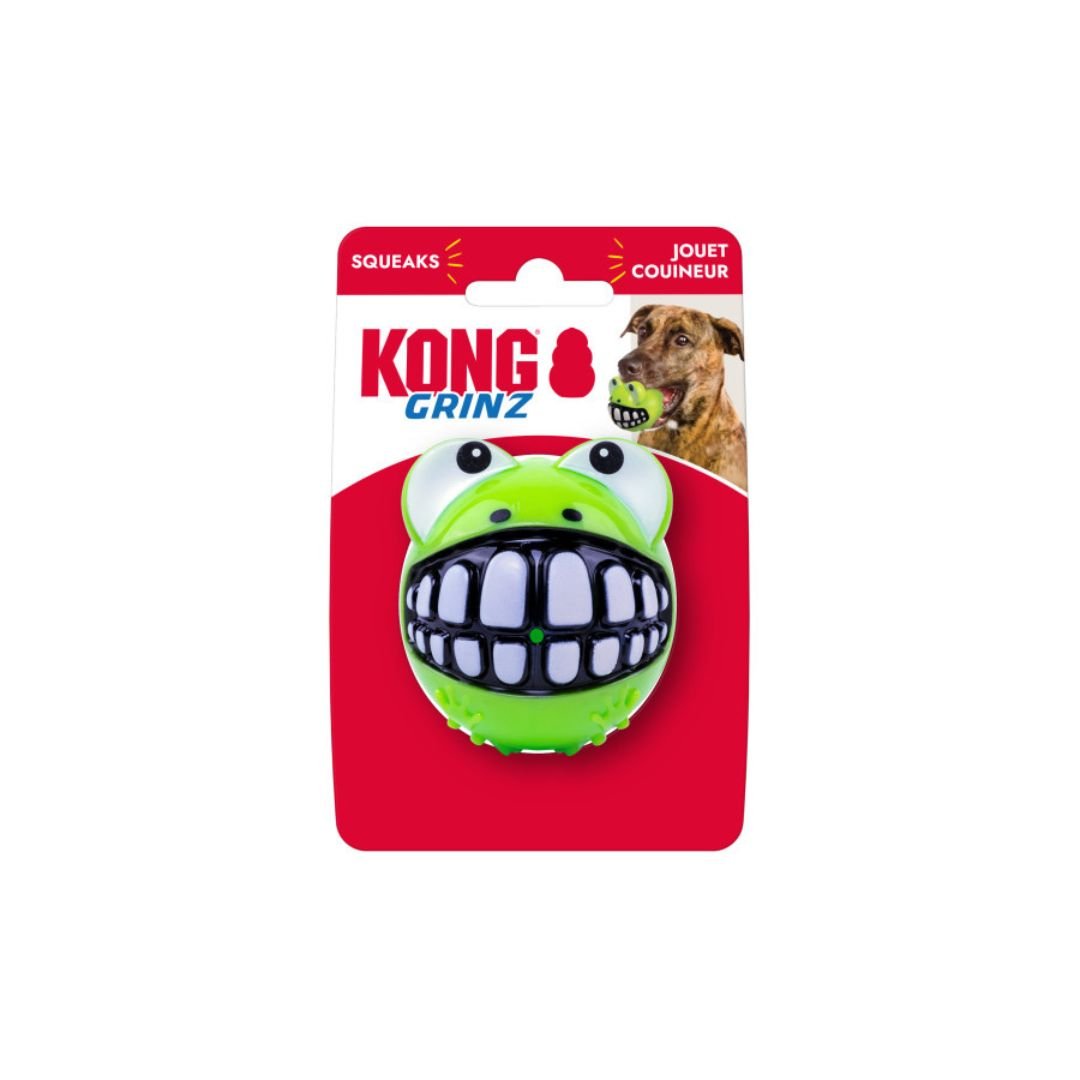 KONG Grinz Frog Dog Toy Green, 1ea/MD - Pets Perfect