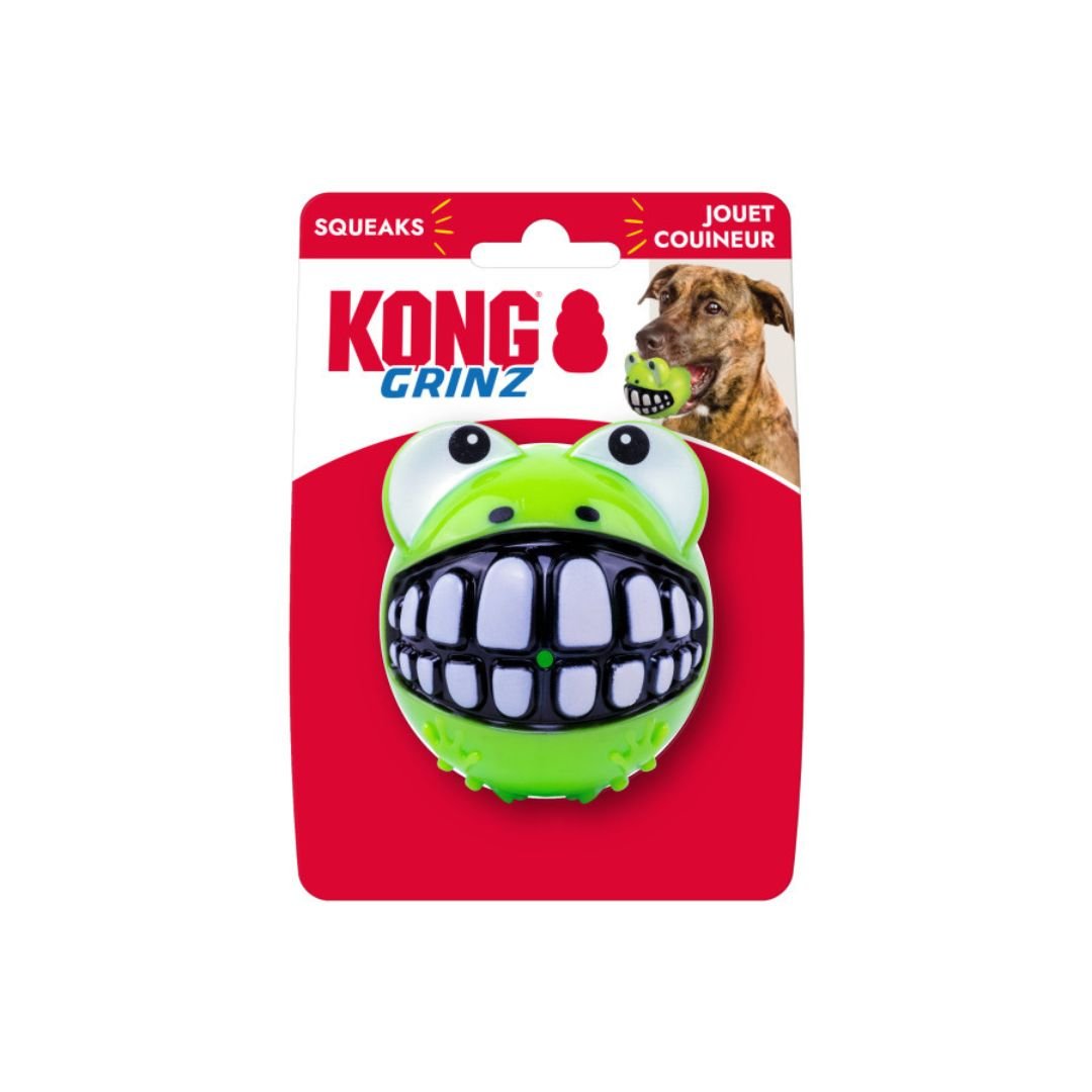 KONG Grinz Frog Dog Toy Green, 1ea/LG - Pets Perfect