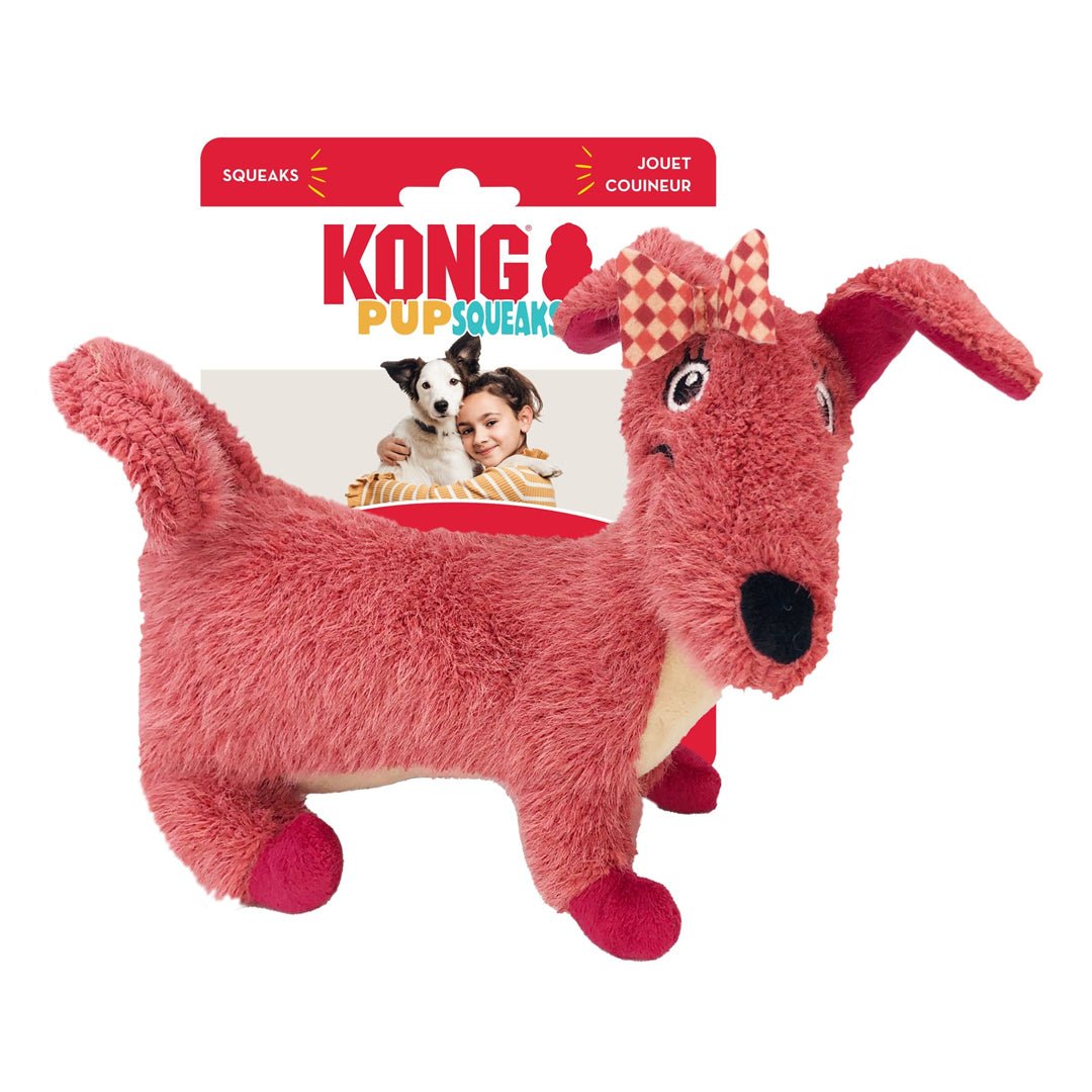 KONG PupSqueaks Daisy Dog Toy – Medium - Pets Perfect