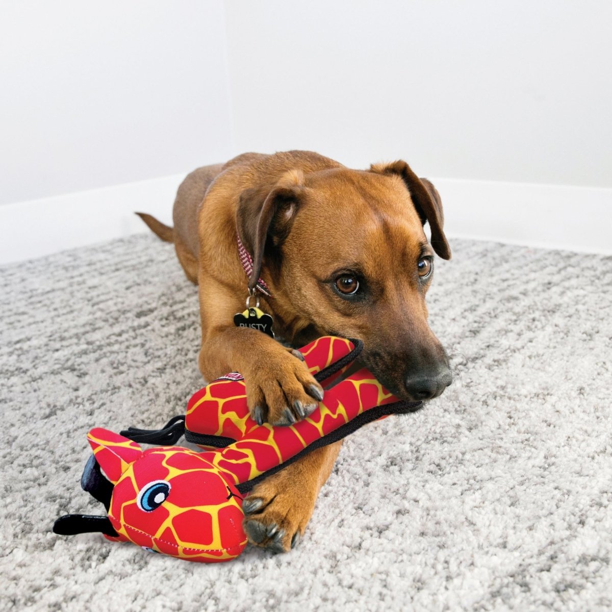 KONG Ballistic Dog Toy Giraffe, MD/LG (2 pack) - Pets Perfect