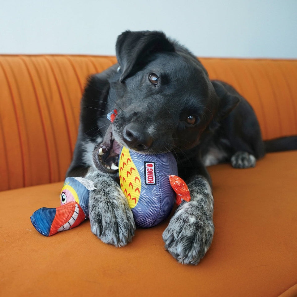 KONG Ballistic Vibez Bird Plush Dog Toy - X-Small, view 3