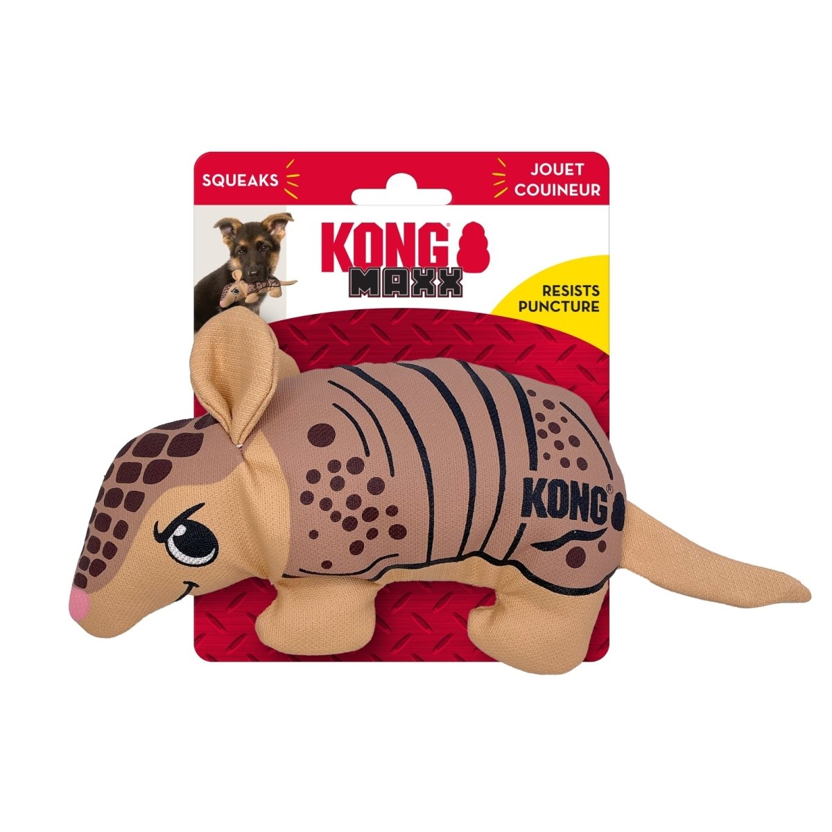 KONG MAXX Friends Armadillo Dog Toy – Small - Pets Perfect