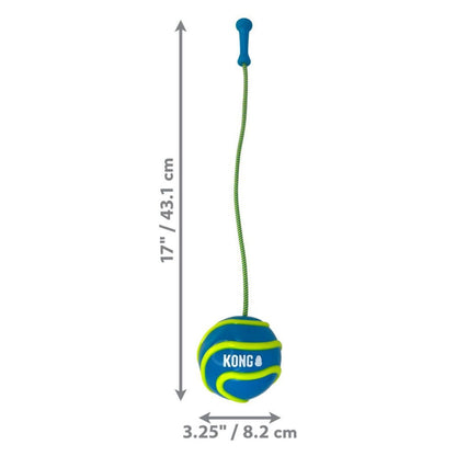 KONG Bunji HighViz Ball Dog Toy Assorted, 1ea/LG - Pets Perfect