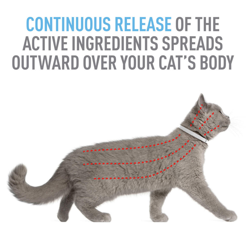 Adams Plus Flea Tick Cat Collar for Cats 1 ct