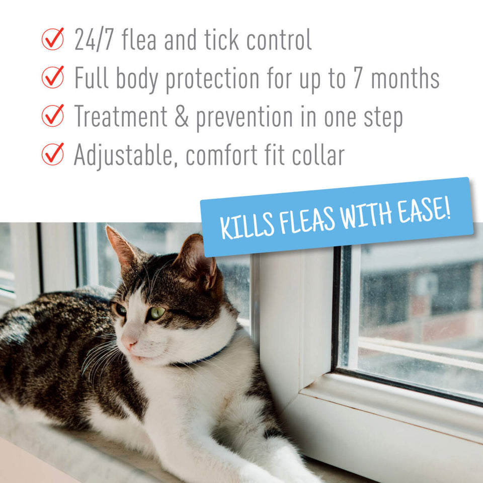 Adams Plus Flea Tick Cat Collar for Cats 1 ct