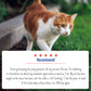 Adams Plus Flea Tick Collar for Cats 1ea/1 pk - Pets Perfect