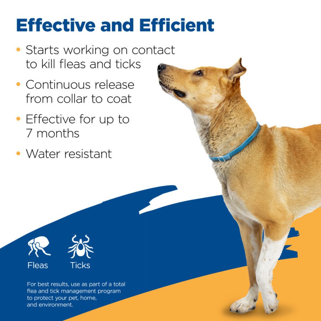 Zodiac Flea and Tick Dog Collar for Dogs Large, view 3