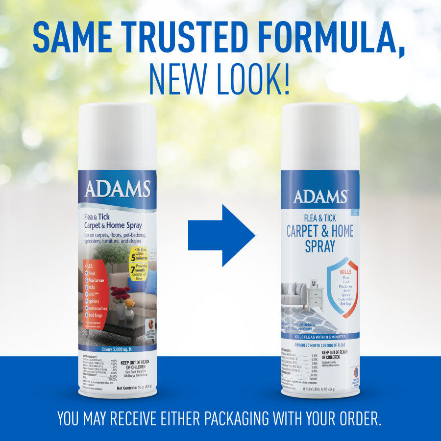 Old and new can designs compared side by side for Carpet Home Spray