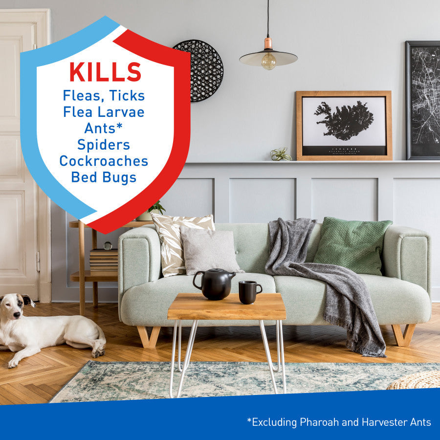 Kills shield listing fleas, ticks, ants and spiders beside living room with white dog