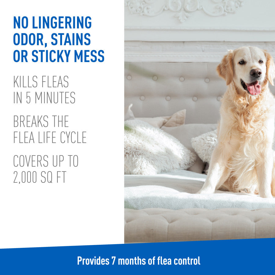 Golden retriever sitting on a tufted bed beside no-odor and flea kill claims