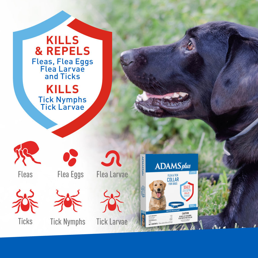 Adams Plus Flea Tick Dog Collar for Dogs, Small Large