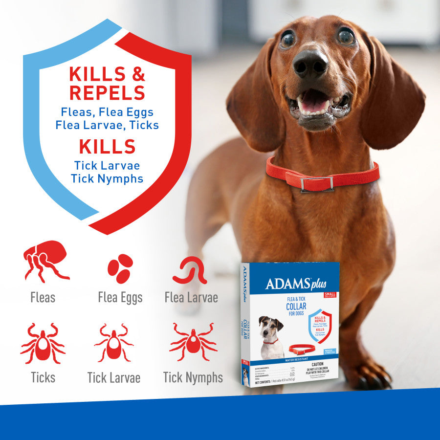 Adams Plus Flea Tick Dog Collar for Dogs, Small Small