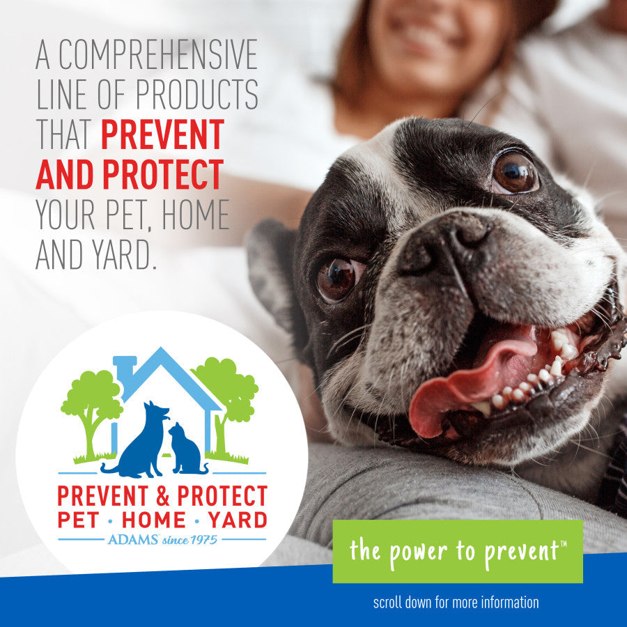 Adams Plus Flea Tick Dog Collar for Dogs, Small Small