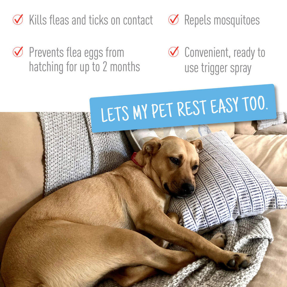 Adams Flea Tick Spray 16 fl oz