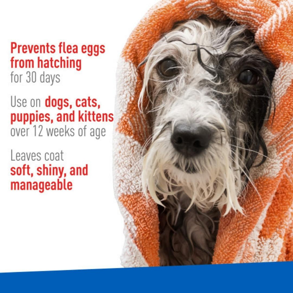 Adams Flea Tick Cleansing Pet Shampoo Clear, 12 oz