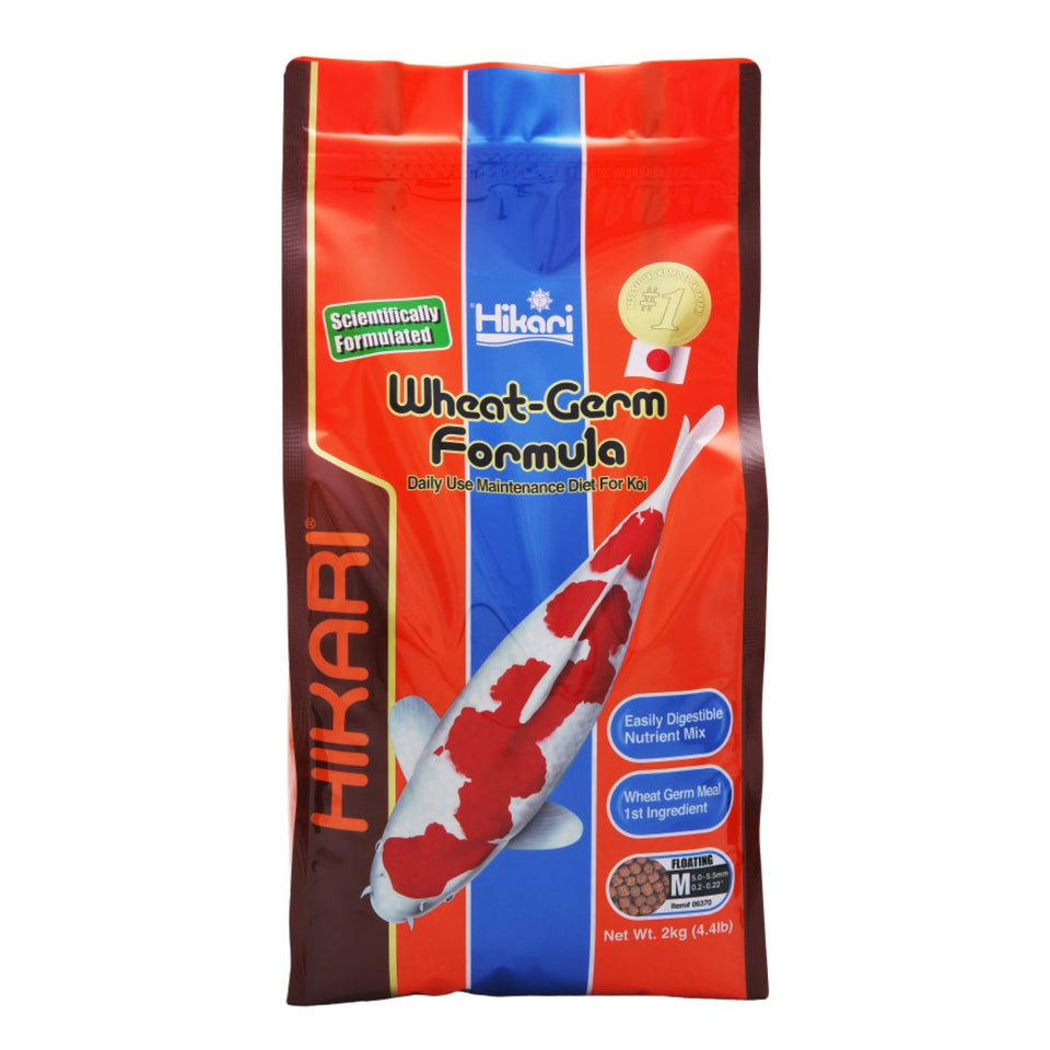 Hikari USA WheatGerm Floating Pellet Fish Food for Koi, 4.4 lb, Medium
