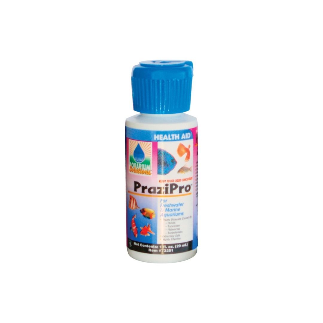 Aquarium Solutions Prazipro Liquid Treatment 1ea/1 fl oz - Pets Perfect