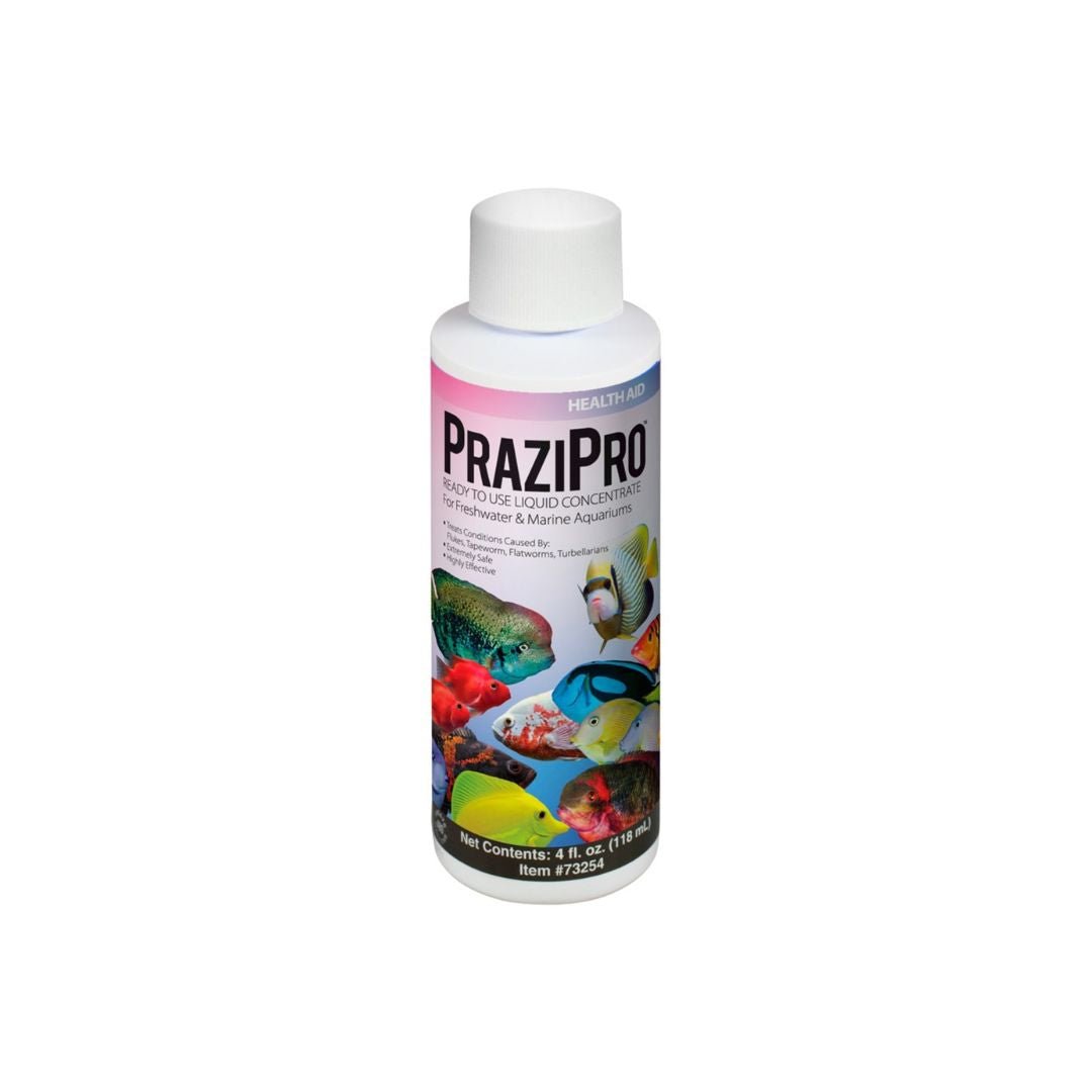 Aquarium Solutions Prazipro Liquid Treatment 1ea/4 fl oz - Pets Perfect