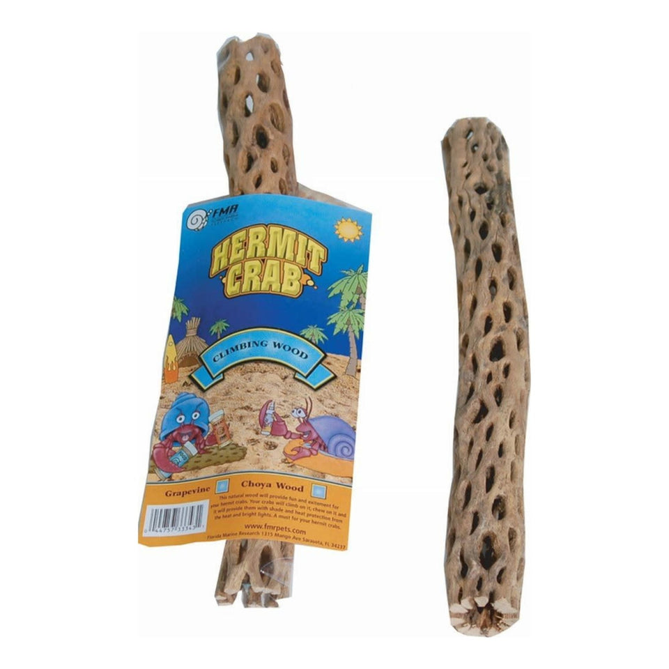 Florida Marine Research Hermit Crab Choya Wood Brown 1ea/LG