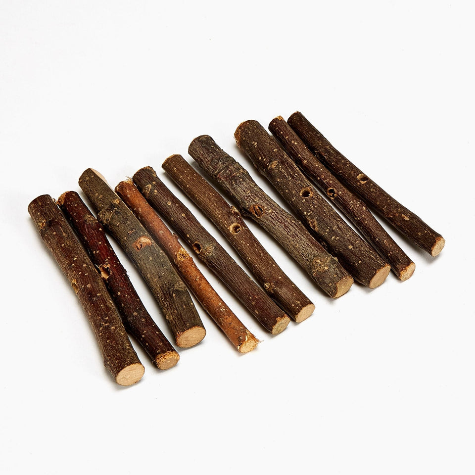 Kaytee Apple Orchard Sticks 1ea/10 pk