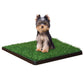 Four Paws WeeWee Dog Grass Patch Tray 1ea/20 in X 20 in 6 ct - Pets Perfect