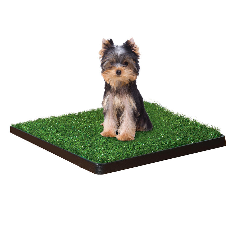 Four Paws WeeWee Dog Grass Patch Tray, 20 in x 20 in 6 ct