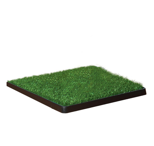 Four Paws WeeWee Dog Grass Patch Tray 1ea/20 in X 20 in 6 ct