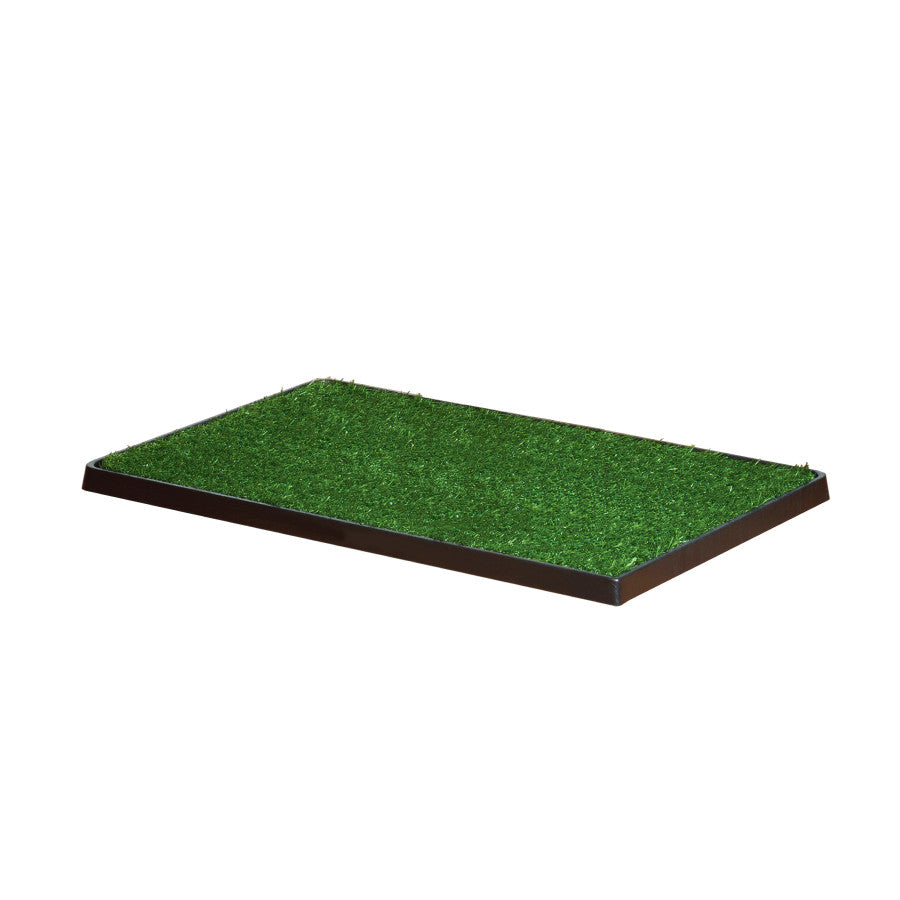 Angled view of the empty grass patch tray showing turf and black base