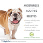 Four Paws Magic Coat Hypoallergenic Dog Shampoo Soothing Cucumber, 1ea/16 oz 1 ct - Pets Perfect