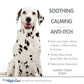 Four Paws Magic Coat Medicated Dog Shampoo Classic Clean, 1ea/16 oz 1 ct - Pets Perfect