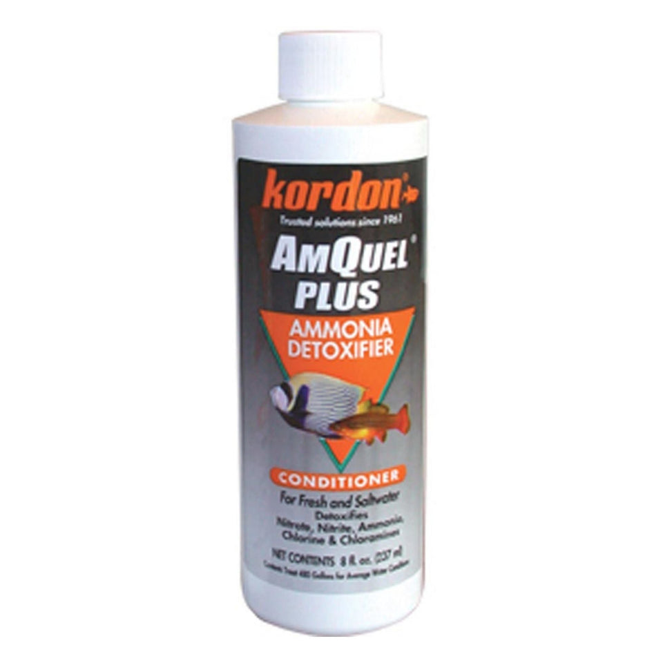 Kordon AmQuel Plus Ammonia Remover Conditioner 1ea/8 floz. - Fish Water Care
