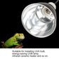 Reptiglow Heat Lampshade: Powerful And Efficient Heating Solution For Reptiles - Pets Perfect