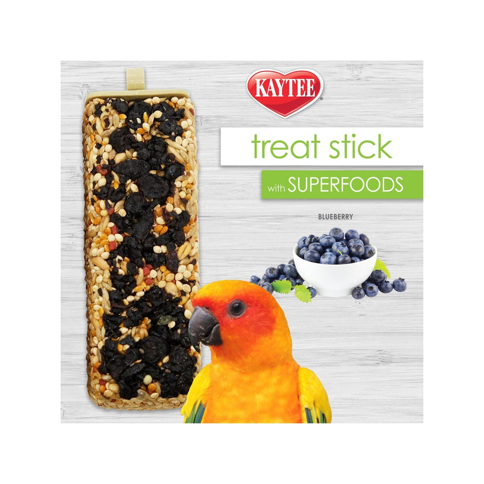 Kaytee Avian Superfood Treat Stick Blueberry 1ea/5.5oz.