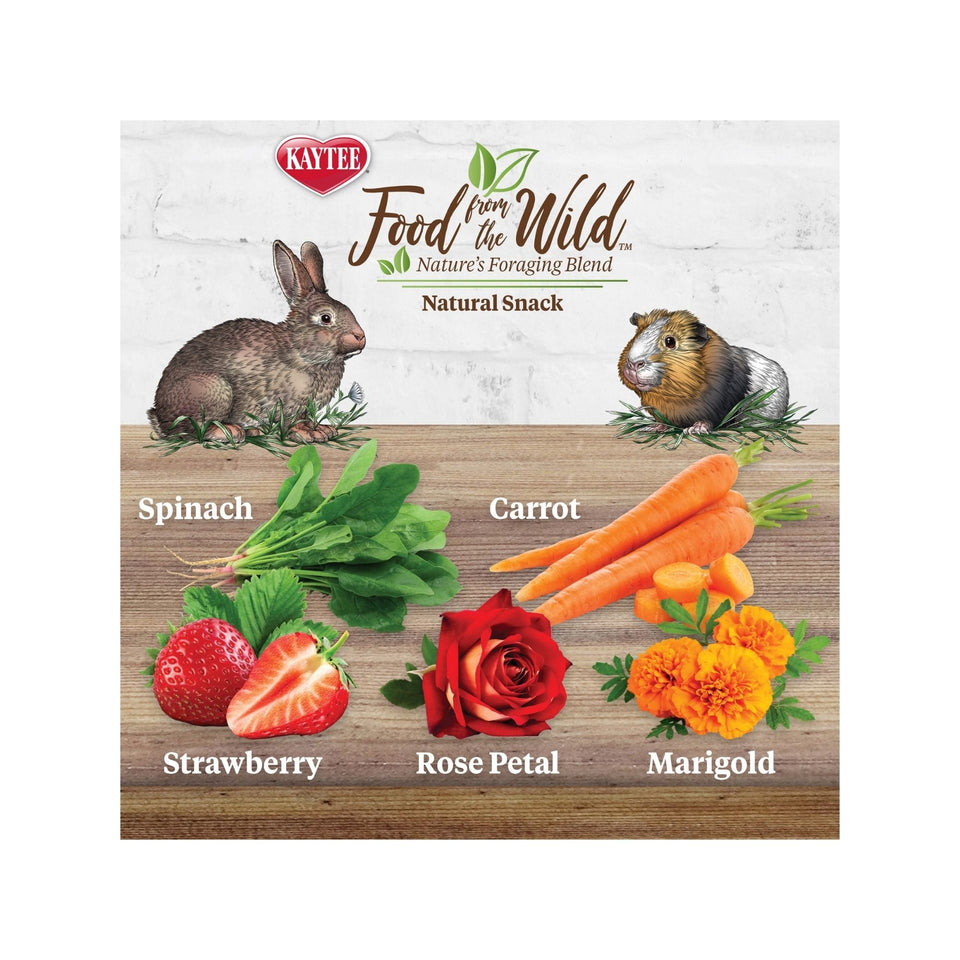 Kaytee Food From the Wild Natural Snack Rabbit and Guinea Pig 1ea/1oz.