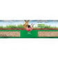 Kaytee Pine Bedding and Litter 600 cu in