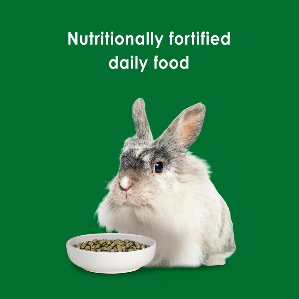 Kaytee Forti Diet Rabbit Food 1ea/5 lb - Small Animal Food