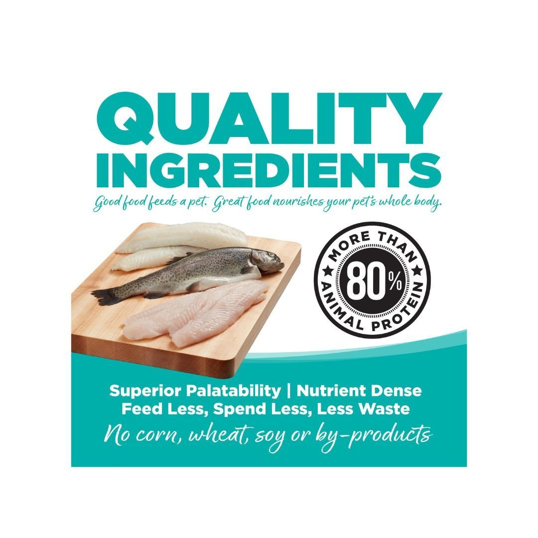NutriSource Element Series Grain Free Dry Cat Food Classic Catch 4lb - Pets Perfect