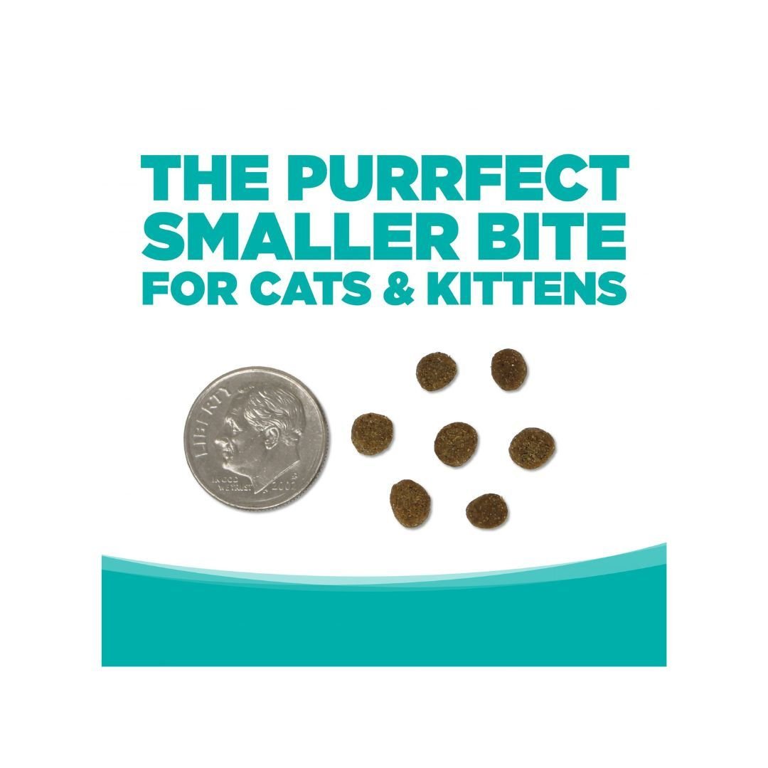 NutriSource Element Series Grain Free Dry Cat Food Classic Catch 4lb - Pets Perfect