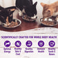 Wellness Cat Complete Health Minced Salmon Dinner 3oz. (Case of 24) - Pets Perfect