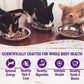 Wellness Cat Complete Health Minced Chicken Dinner 5.5oz. (Case of 24) - Pets Perfect