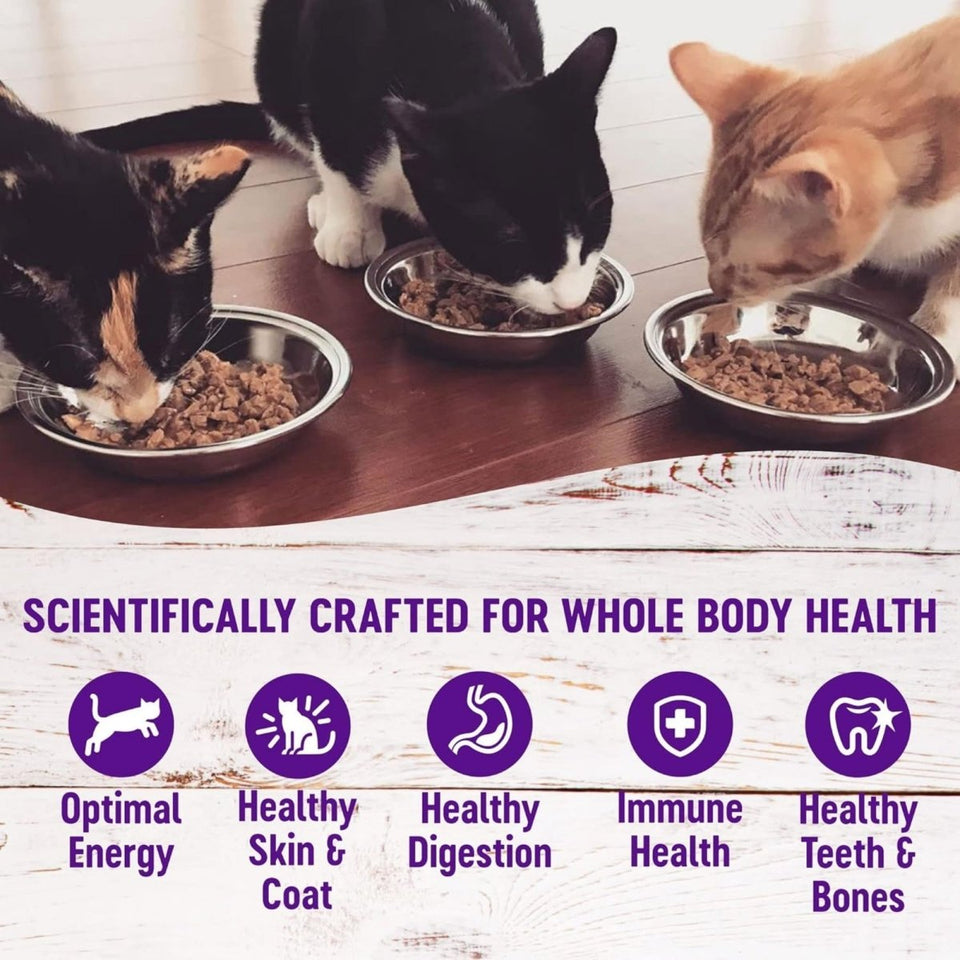 Wellness Complete Health Minced Chicken Wet Cat Food, 5.5 oz, 24 ct, view 3