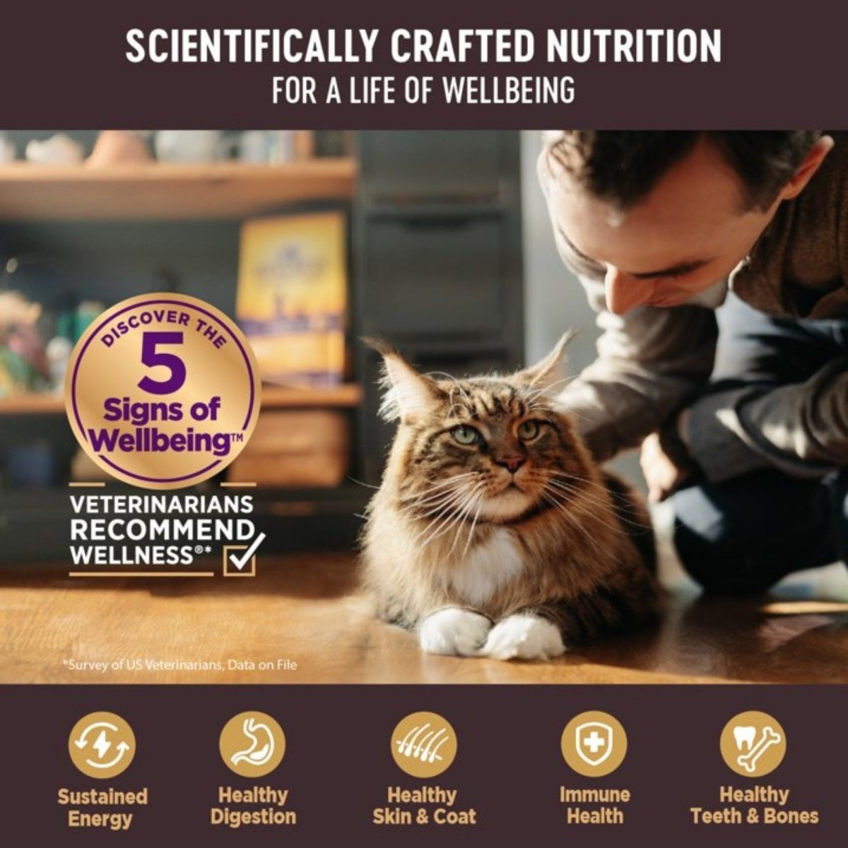 Wellness Cat Core Signature Select Shredded Chicken Turkey Entrée 2.8oz. (Case of 12) - Pets Perfect