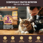 Wellness Cat Core Signature Select Shredded Chicken Liver Entrée 5.3oz. (Case of 12) - Pets Perfect