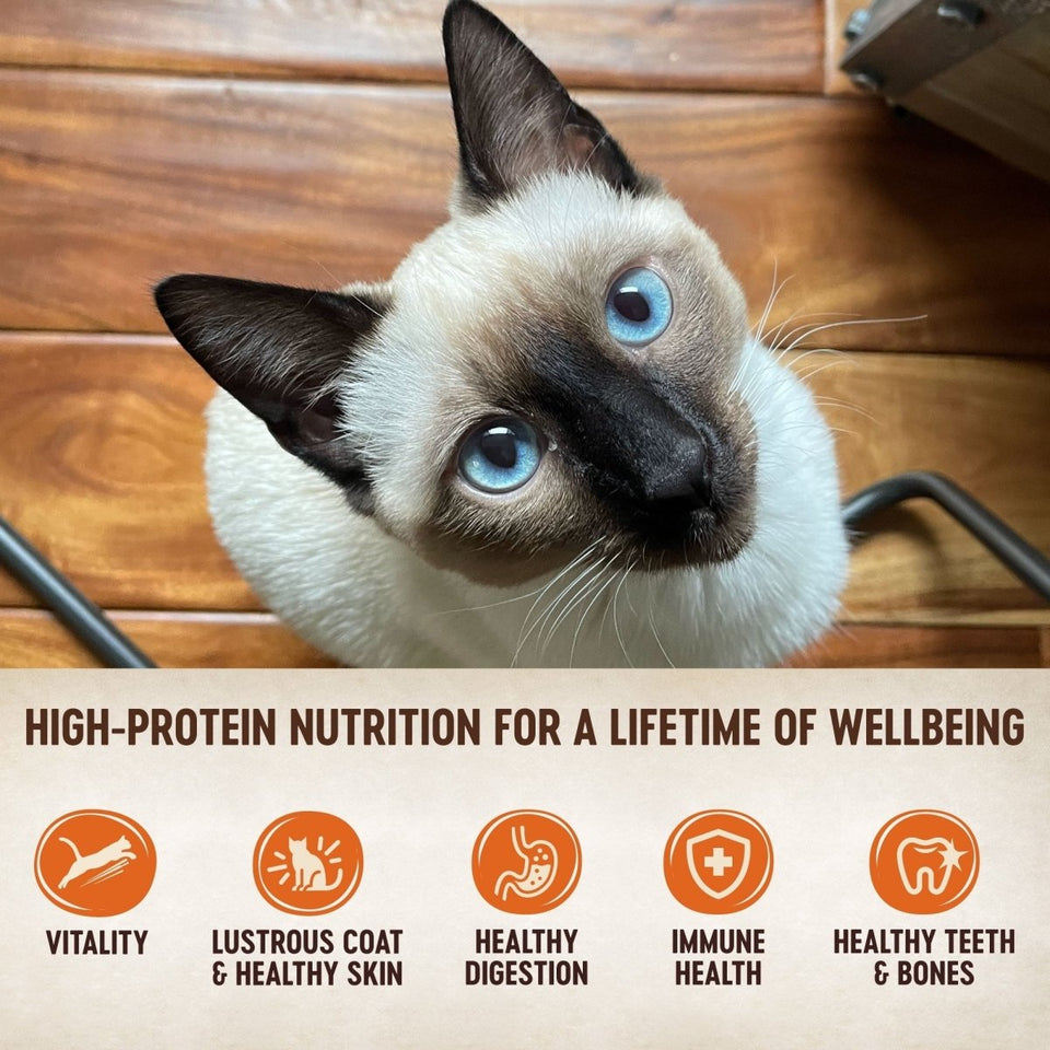 Wellness CORE Signature Selects Cat Poultry Variety, 5.3 oz, 12 ct, view 3
