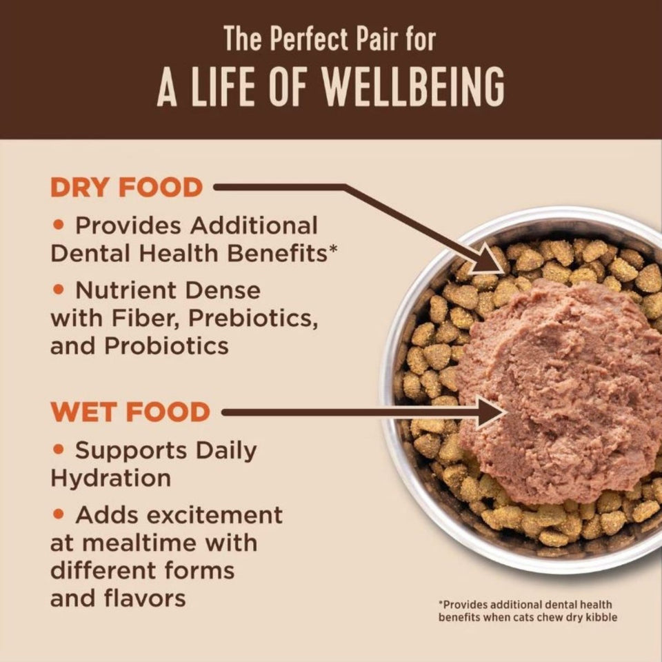 Wellness CORE Digestive Health GF Wet Cat Food, Turkey Pate, 3 oz, view 2